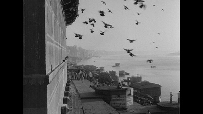 大河之歌剧照的剧照