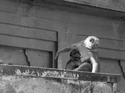 大河之歌剧照的剧照