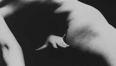 曼陀罗剧照的剧照