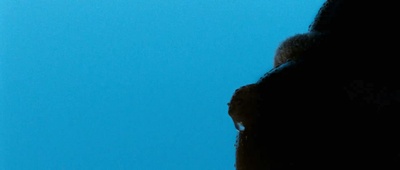 晒尸体剧照的剧照