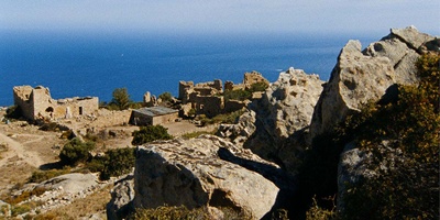 晒尸体剧照的剧照