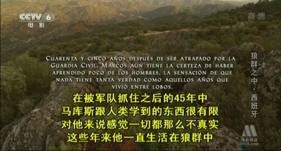 与狼共伍剧照的剧照