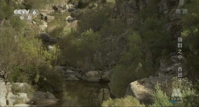 与狼共伍剧照的剧照