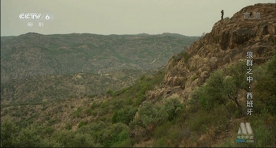 与狼共伍剧照的剧照