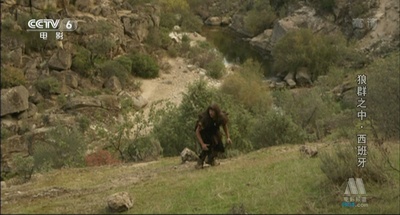 与狼共伍剧照的剧照