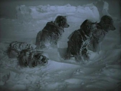 北方的纳努克剧照的剧照