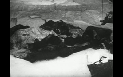 北方的纳努克剧照的剧照