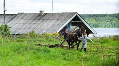 邮差的白夜剧照的剧照
