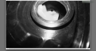 解除好友2：暗网剧照的剧照