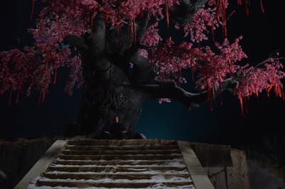 伏妖白鱼镇剧照的剧照