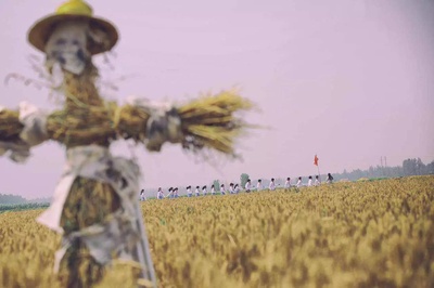 黑处有什么剧照的剧照