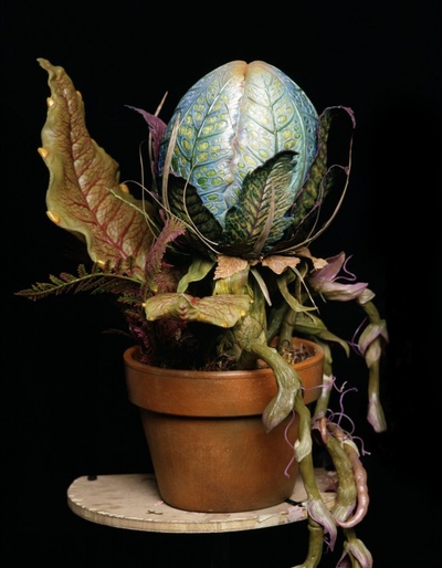 异形奇花剧照的剧照