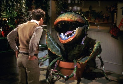 异形奇花剧照的剧照