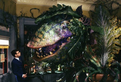 异形奇花剧照的剧照