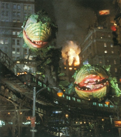 异形奇花剧照的剧照