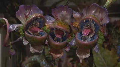 异形奇花剧照的剧照