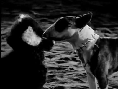 小科学怪人剧照的剧照