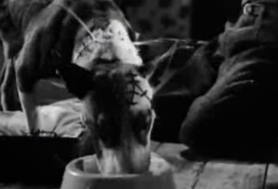 小科学怪人剧照的剧照