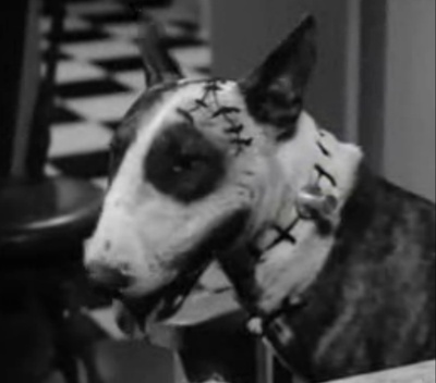 小科学怪人剧照的剧照