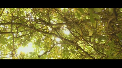 寻找费里尼剧照的剧照