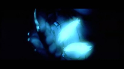 星际传奇剧照的剧照