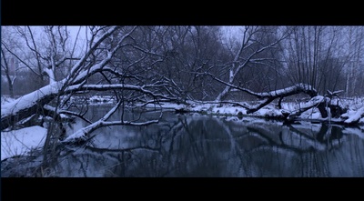 无爱可诉剧照的剧照