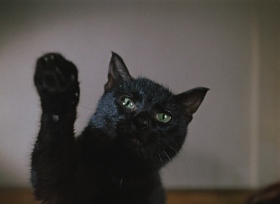 伊凡“雷”帝：回到未来剧照的剧照