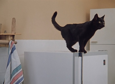 伊凡“雷”帝：回到未来剧照的剧照