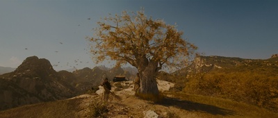 苏乞儿剧照的剧照