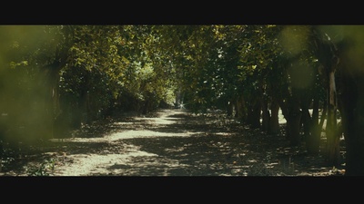 丝黛芬妮剧照的剧照