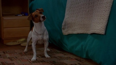 变相怪杰剧照的剧照