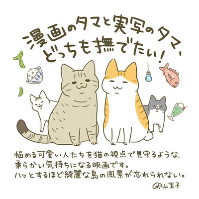 猫与爷爷剧照的剧照