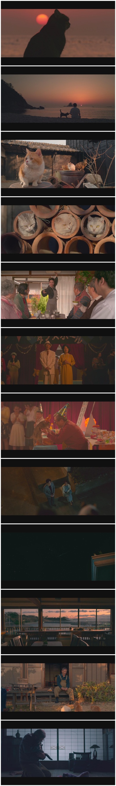 猫与爷爷剧照的剧照