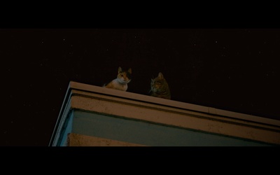 猫与爷爷剧照的剧照