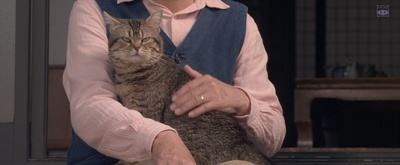 猫与爷爷剧照的剧照