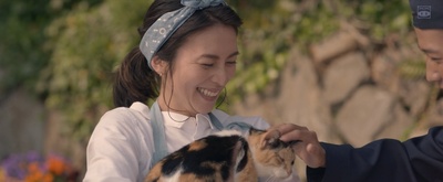 猫与爷爷剧照的剧照