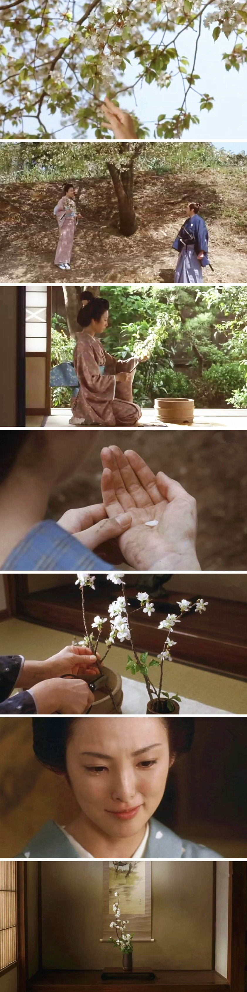 山樱剧照的剧照