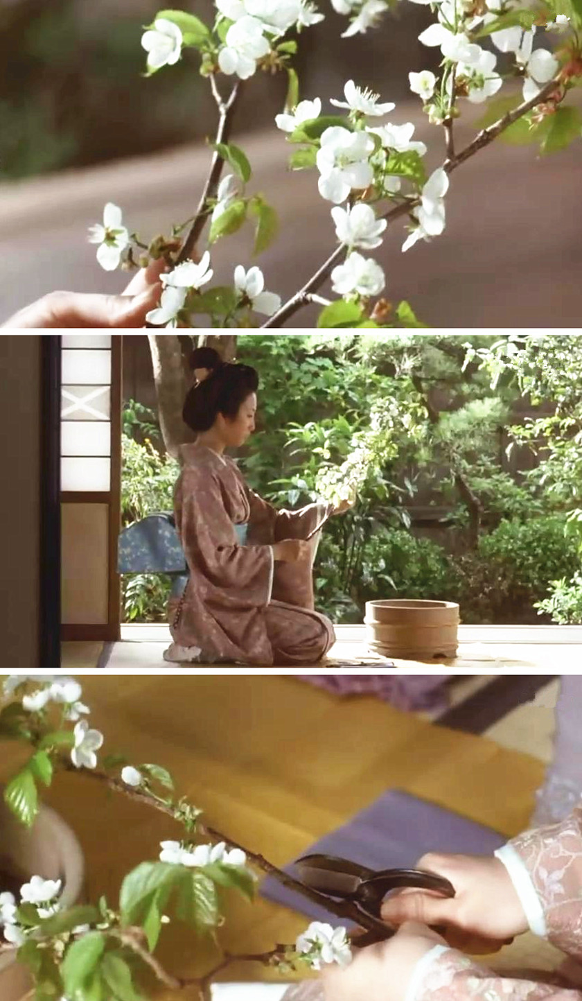 山樱剧照的剧照