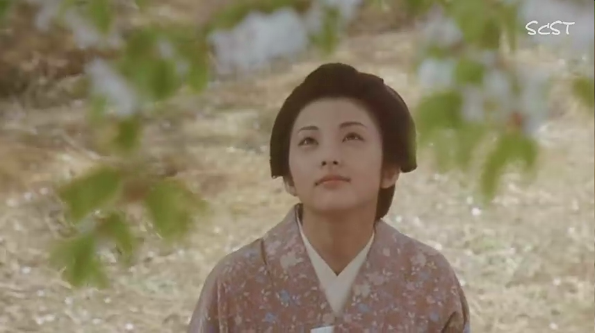 山樱剧照的剧照