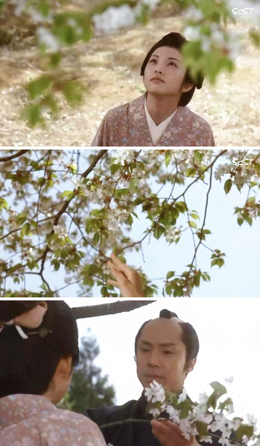 山樱剧照的剧照