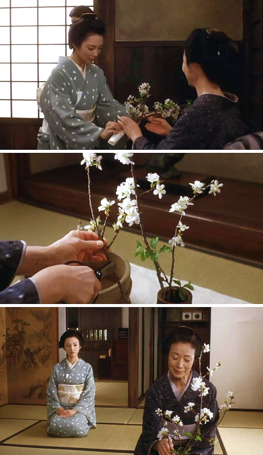 山樱剧照的剧照
