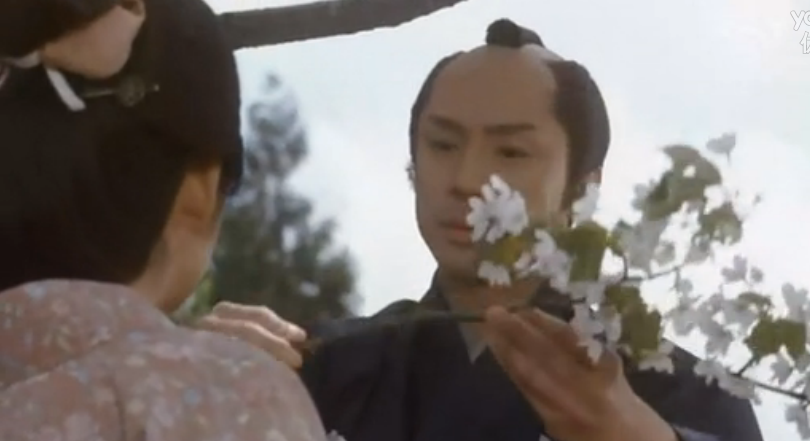 山樱剧照的剧照