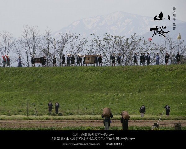 山樱剧照的剧照