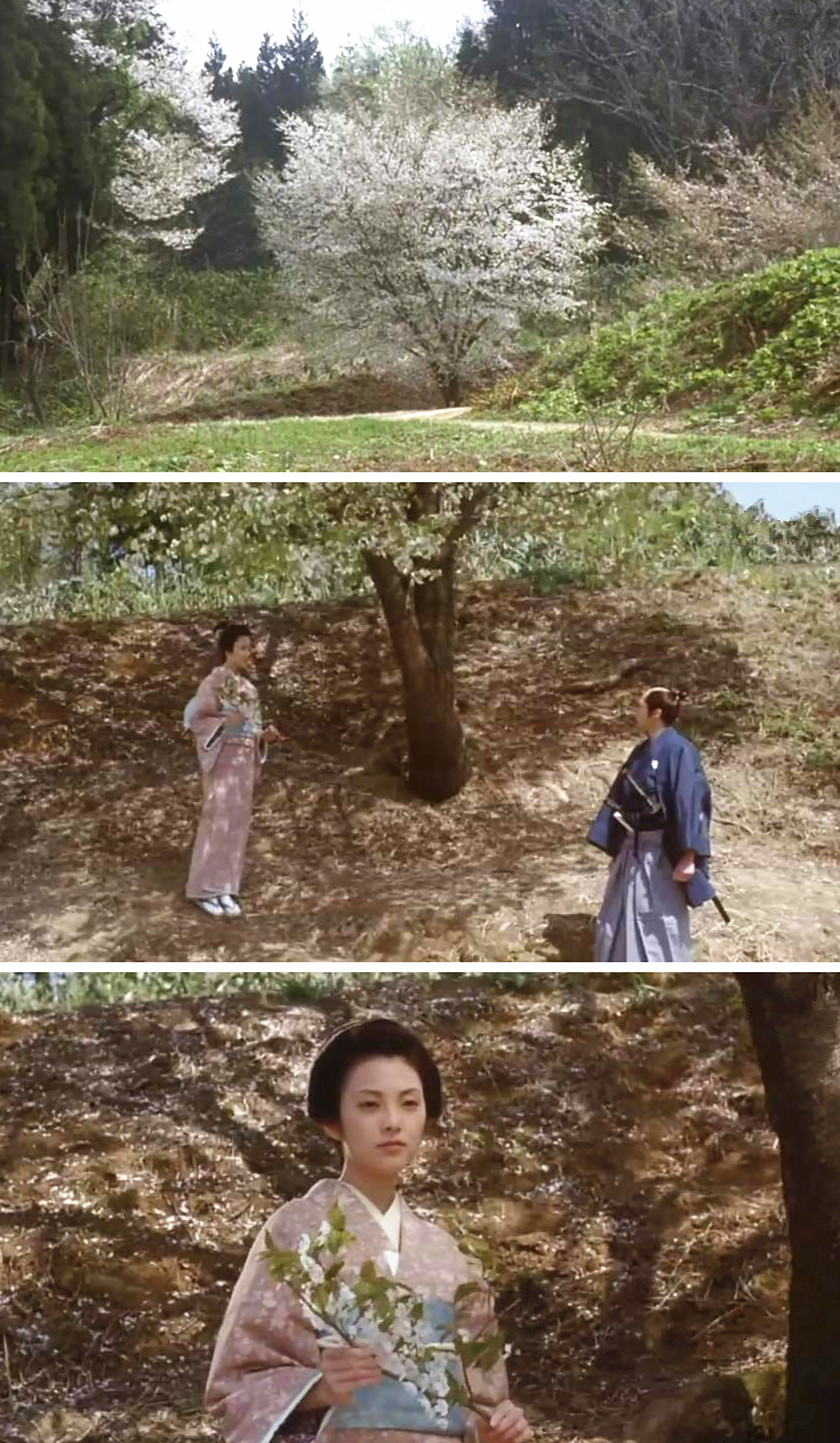 山樱剧照的剧照