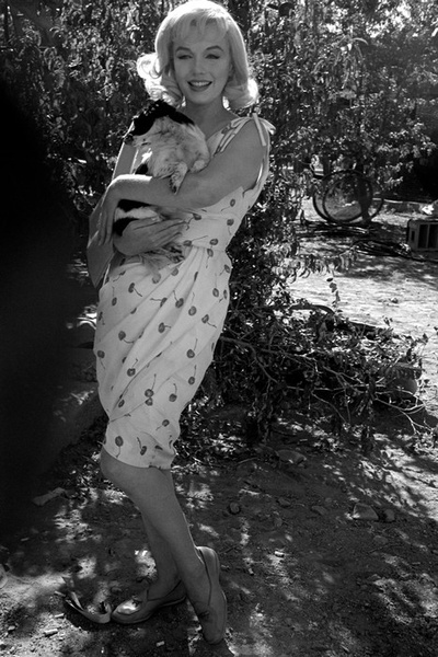 乱点鸳鸯谱剧照的剧照