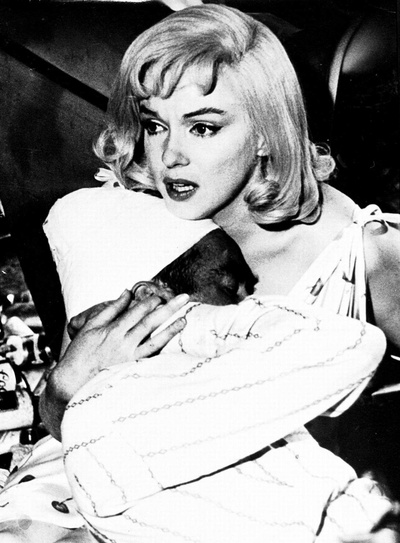 乱点鸳鸯谱剧照的剧照