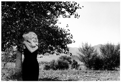 乱点鸳鸯谱剧照的剧照