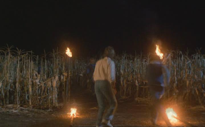 玉米田的小孩剧照的剧照