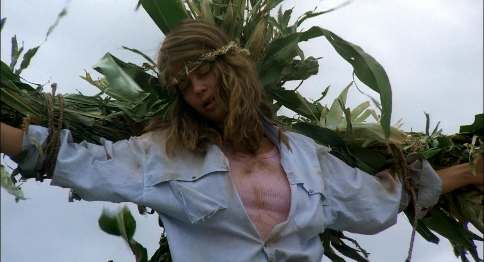 玉米田的小孩剧照的剧照