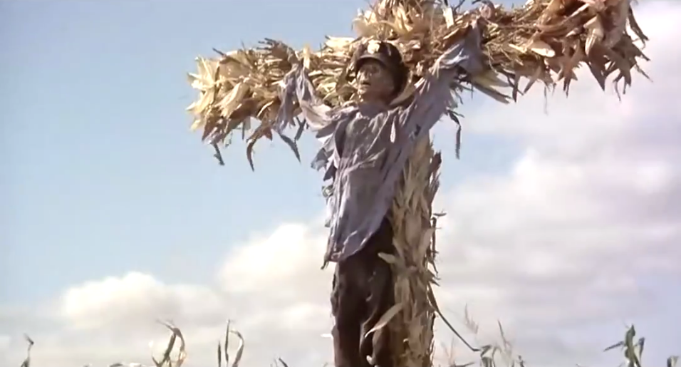 玉米田的小孩剧照的剧照